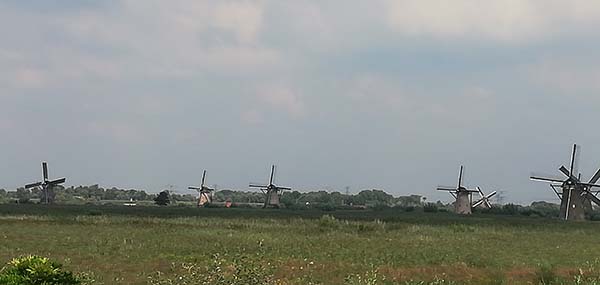 220823-Kinderdijk (6).jpg